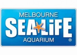 SLMA logo_HD_CMYK_R_S_1E58F.jpg