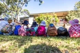 20160513 Kindy Bush walk09.jpg