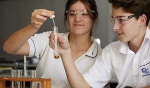 Screenshot 2023-02-01 at 12.45.17 pm.png