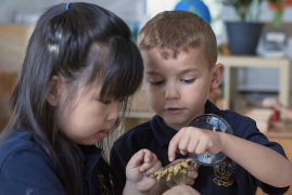 Screenshot 2023-02-02 at 9.05.06 am.png