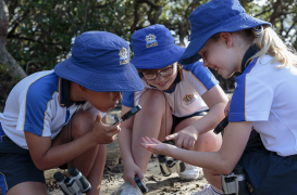 Screenshot 2023-08-10 at 11.06.42 am.png