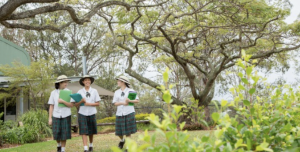 Screenshot 2024-02-08 at 12.01.53 pm.png