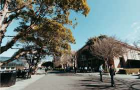 Screenshot 2024-02-15 at 12.30.30 pm.png