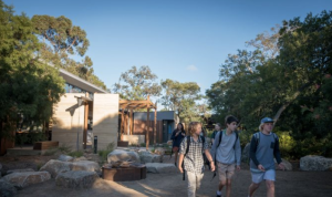 Screenshot 2024-05-15 at 9.57.31 am.png