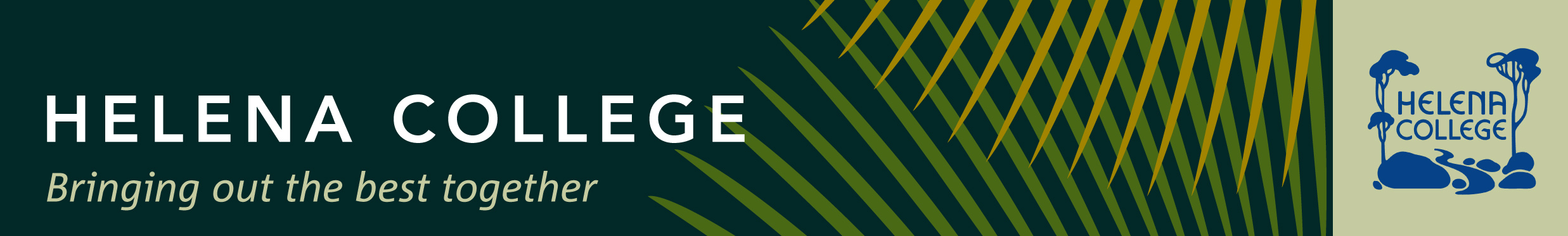 SS banner - 2014.jpg