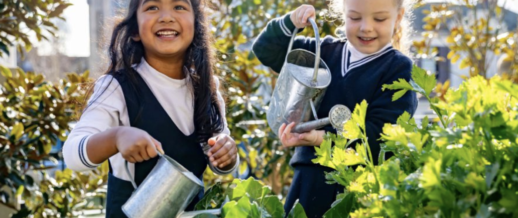 Screenshot 2023-09-27 at 9.17.41 am.png